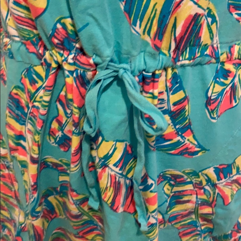 Talbots Feather Dress - Picture 3 of 6